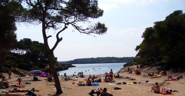 sa Barca Trencada - der Hotelstrand des Hotel Iberostar Club Cala Barca  